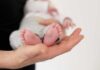 Salud Pública reporta 41 muertes infantiles en la semana 34; suman 1,227 en 2026