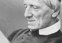 Los herederos literarios de Newman: una huella que va más allá de lo espiritual y lo teológico